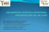 Neumatosis quistica intestinal vf