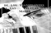 CMC T-5...De   Los   Transplantes  A Las CéLulas Madre 2
