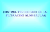 Parte 4  filtracion glomerular  control fisiologico regulacion upao dr yan trujillo peru