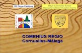 Comenius Regio Hayle Reyes Católicos