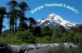 Parque Nacional Lanin
