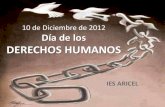 Día de los Derechos Humanos 2012