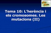 Tema 10  Bio1 2009 10(HerèNcia2)