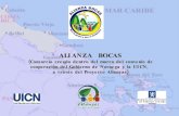 Alianza Bocas 2009