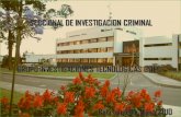 Presentación del Grupo de Investigaciones Tecnnológicas GITEC de delitos informáticos.