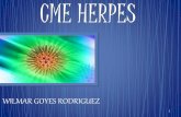 Herpes, herpes zóster  presentación completa.