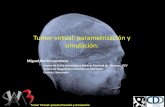 Tumor Virtual: parametrización y simulación.
