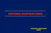Expo histologia sistema respiratorio33!!!