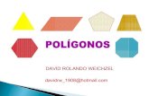 Webquest de poligonos (david)