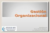 Curso gestión organizacional