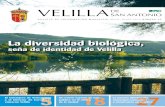Revista 50 Velilla