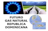 Foro de Energía Limpia - Miguel Guerra, Soluciones en Gas Natural, S.A.