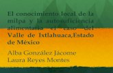 Presentación de Laura Reyes (México) - Seminario Internacional Pueblos Indígenas