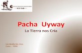 Presentación de Luis Revilla (Perú) - Seminario Internacional Pueblos Indígenas
