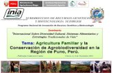 Presentación de Policarpo Catacora (Perú) - Seminario Internacional Pueblos Indígenas