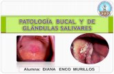 Patologia bucal y de glandulas salivales.