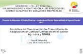 Iniciativa de Financiamiento Comunitaria de Adaptación al Cambio Climático en el Sector  Agrícola y RRHH. David Salvador.