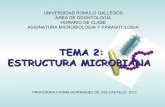 Tema estructura bacteriana