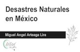 Desastres naturales en México Miguel Arteaga