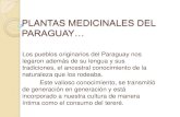 Plantas medicinales del Paraguay