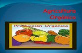 Investigacion de agricultura     orgánica