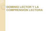 Presentación Dominio Lector 2012