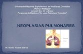 Neoplasias Pulmonares Mybp