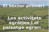 Sector primari ppt(1 i 2)