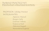 Organizcion informales psicologia institucional