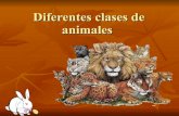 Diferentes Clases De Animales