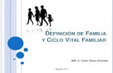 Definición de familia y ciclo vital familiar