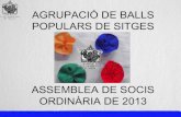 Assemblea Ordinària de Socis 2013 ABPS