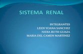 Sistema renal y aparato fememnino