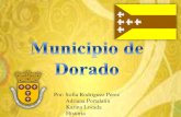 Municipio de Dorado