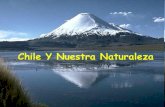 Chile Y Nuestra Naturaleza Emilio Rojas 28