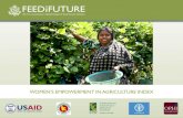 The Women's Empowerment in Agriculture Index (Spanish)