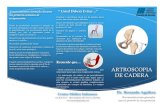 Guía, Artroscopia de cadera