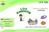 Alimentos 100603183022-phpapp02 -