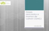 Gases asociados a mantos de carbón(GMC) UTS