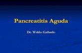 Pancreatitis Aguda Dr. Gallardo