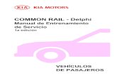 Common rail kia mecanica automotriz