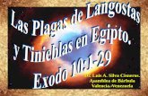 CONF. EXODO 10:1-29. (EX. No. 10). LAS PLAGAS DE LANGOSTAS Y TINIEBLAS, EN EGIPTO.