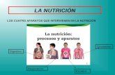 Los cuatro aparatos de la nutrición