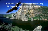 Legislación y protección medioambiental (Federico Andrés)