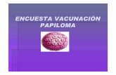 Encuesta HPV IES Professor Broch i Llop.Ppt
