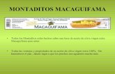 Montaditos macaguifama