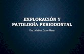 Exploracion y patologia periodontal