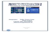 Proyecto programacion 2.