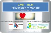 Cardiomiopatia hipetrofica felina prevencion criadores hcm cmh amvac asfe 2013 Tarsicio Marco