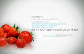 Uso de tratamientos combinados (pre-enfriamiento, agentes químicos, recubrimientos comestibles, empaque, refrigeración) en la conservación de la fresa
